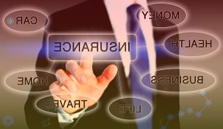 厦门天马显示科技有限公司举行第六代柔性AMOLED生产线项目产品点亮仪式